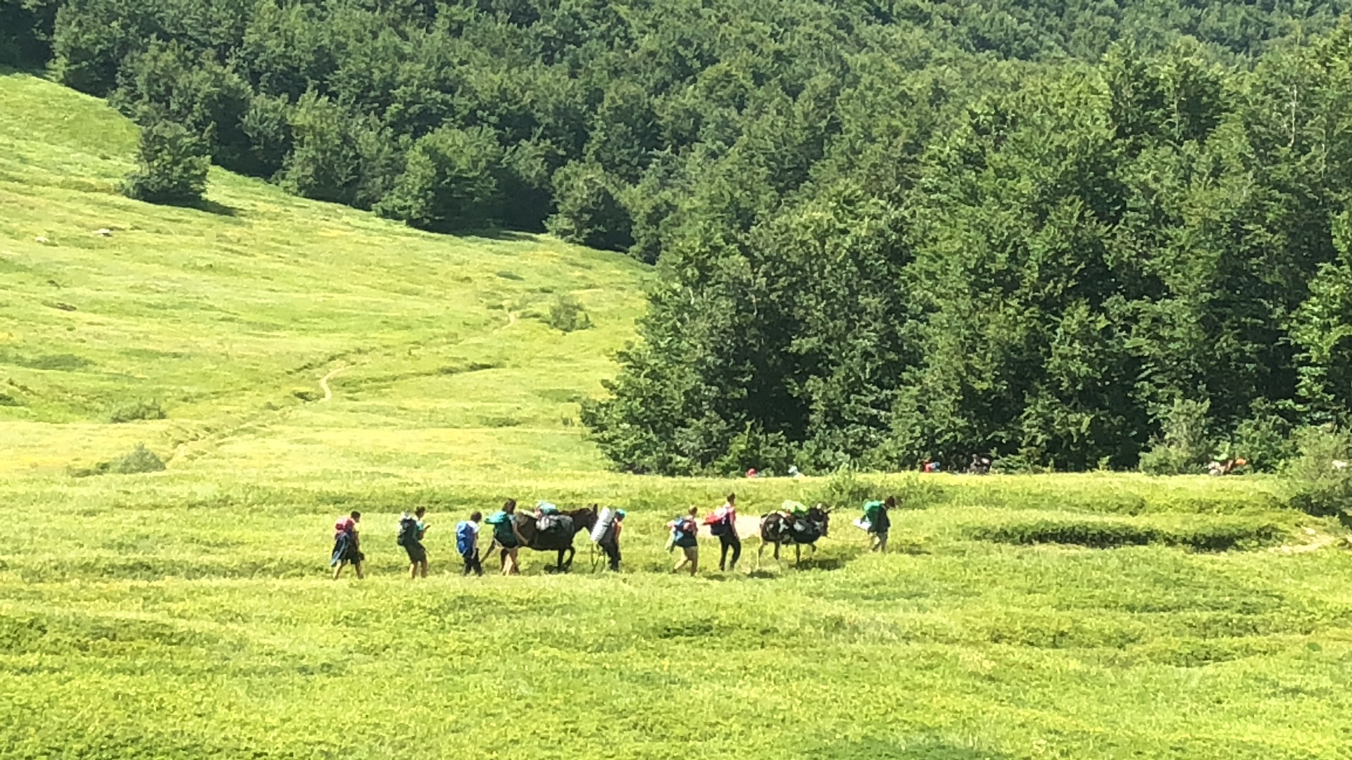 APPENNINO TOSCO-EMILIANO