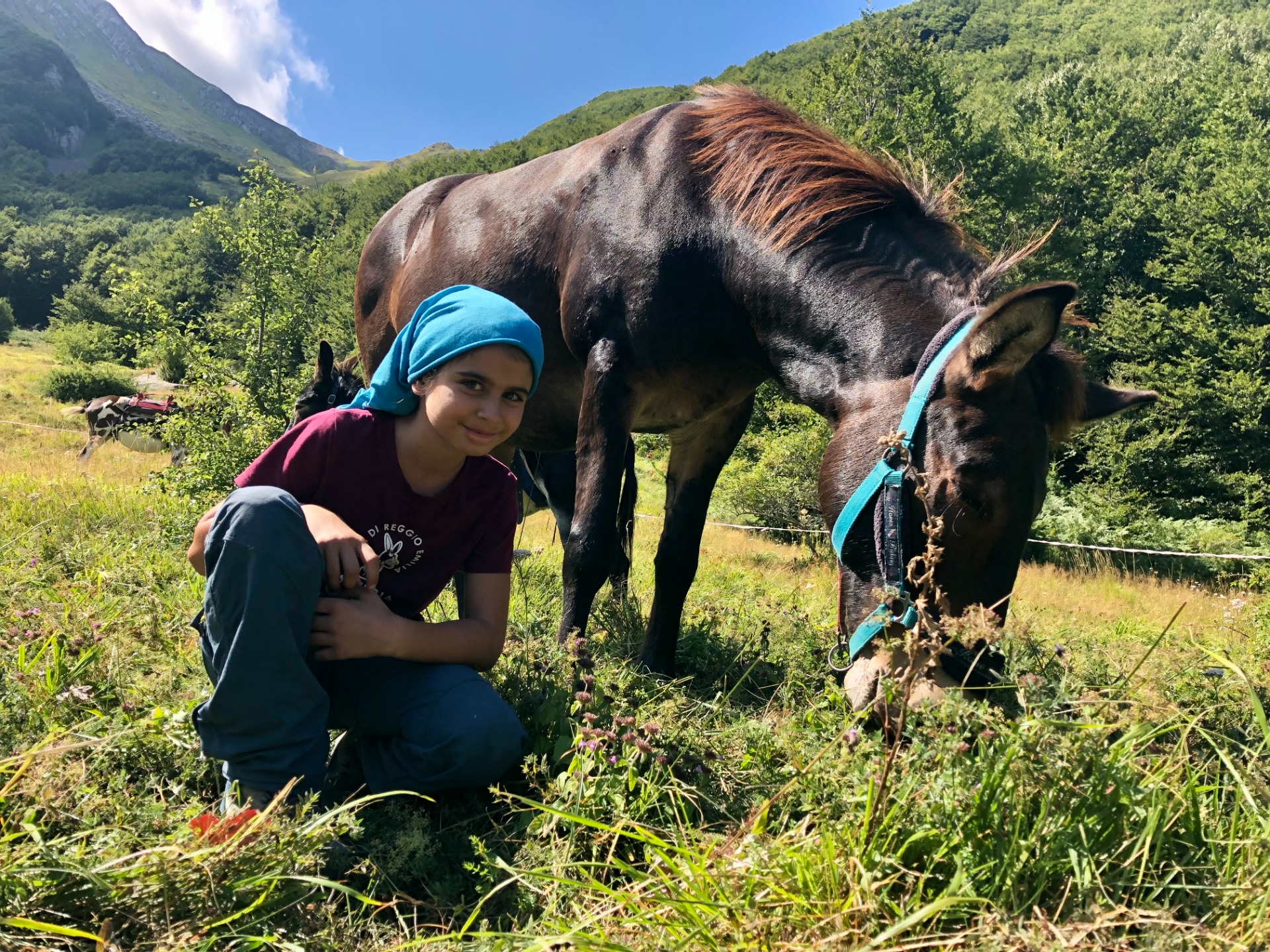 APPENNINO REGGIANO -ANNO 2022